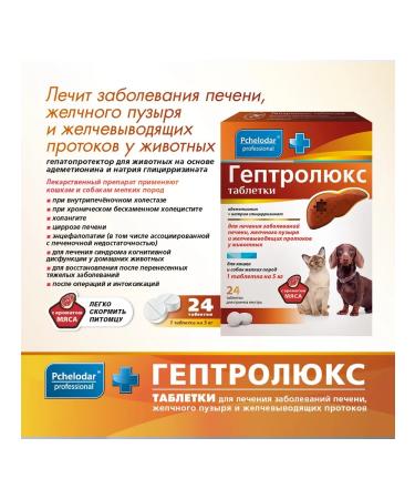 Beekeeper Heptrallyx treatment of liver diseases of cats and dogs - Buy Online on GoSupps.com