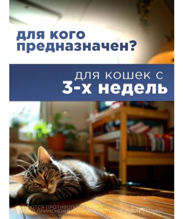 Beekeeper Fenpraz for cats pills - Buy Online on GoSupps.com