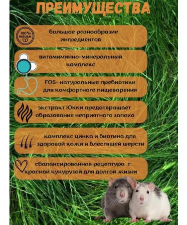 LITTLE ONE Feed for rats set 2 -packing 900g - Buy Online on GoSupps.com