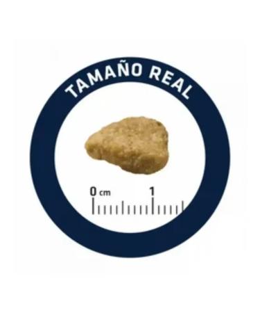 Advance With sensitive digestion salmon and rice 10 kg - Buy Online on GoSupps.com