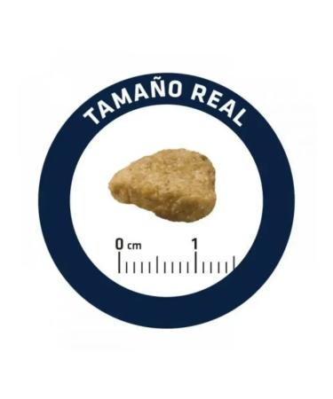 Advance With sensitive digestion salmon and rice 3 kg - Buy Online on GoSupps.com