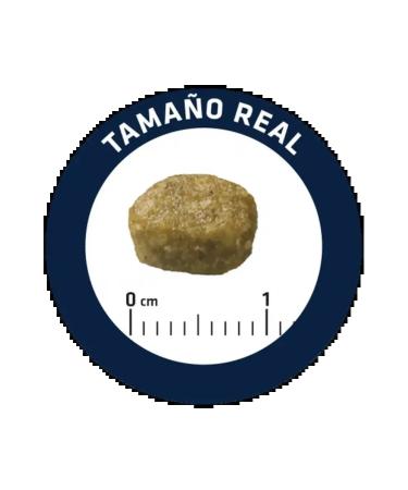 Advance Sterilized for the output of wool with a turkey 3 kg - Buy Online on GoSupps.com