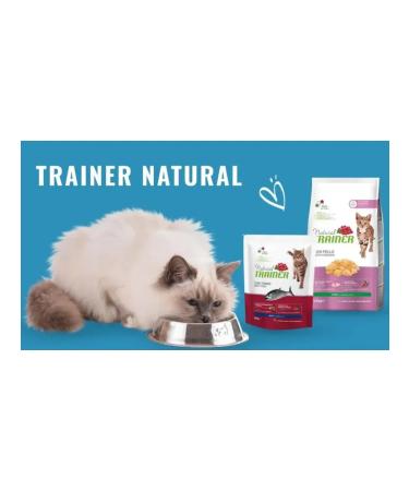 Natural Trainer for cats with chicken 10 kg - Buy Online on GoSupps.com