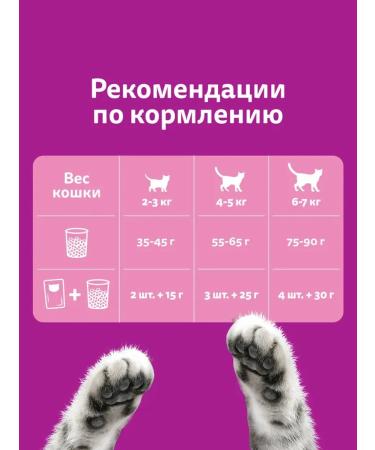 WHISKAS Dry food for cats with salmon from 1 year 5kg - Buy Online on GoSupps.com