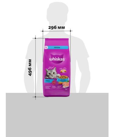 WHISKAS Dry food for cats with salmon from 1 year 5kg - Buy Online on GoSupps.com