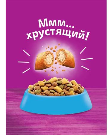 WHISKAS Dry food for cats with salmon from 1 year 5kg - Buy Online on GoSupps.com