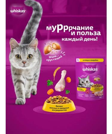 WHISKAS Dry food for cats with chicken and turkey from 1 year 5kg - Buy Online on GoSupps.com