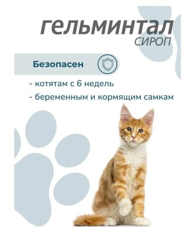 Neoterica Helmantal syrup for cats more than 4 kg - Buy Online on GoSupps.com