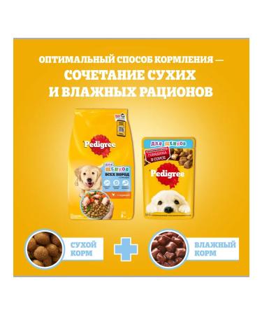 PEDIGREE Dry feed pedigrics for puppies with chicken 4pcs (2kg) - Buy Online on GoSupps.com