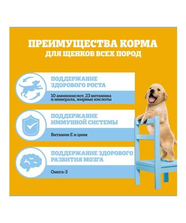 PEDIGREE Dry feed pedigrics for puppies with chicken 4pcs (2kg) - Buy Online on GoSupps.com