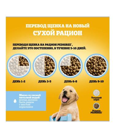 PEDIGREE Dry feed pedigrics for puppies with chicken 4pcs (2kg) - Buy Online on GoSupps.com