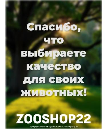 AVZ Dironet 1000 tablets for deworming large breed dogs 6  - Buy Online on GoSupps.com