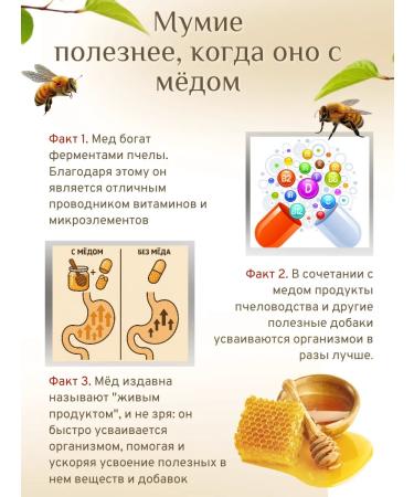 Wild honey Altai Mummy natural with honey 4 pieces - Buy Online on GoSupps.com