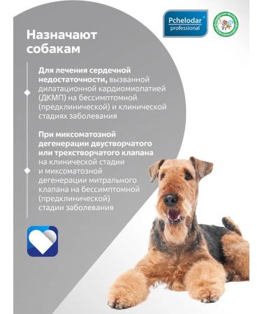 Beekeeper Pimhart treatment of heart failure in dogs from 10-20 kg - Buy Online on GoSupps.com