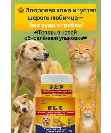 msi Cream Therapeutic ointment for the skin of dogs cats itching - Buy Online on GoSupps.com