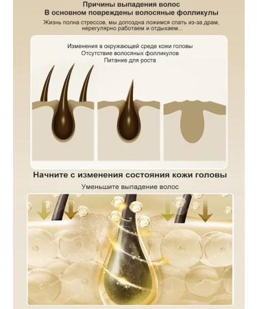 LYDIMOON hair shampoo rapid stimulation of hair growth - Buy Online on GoSupps.com