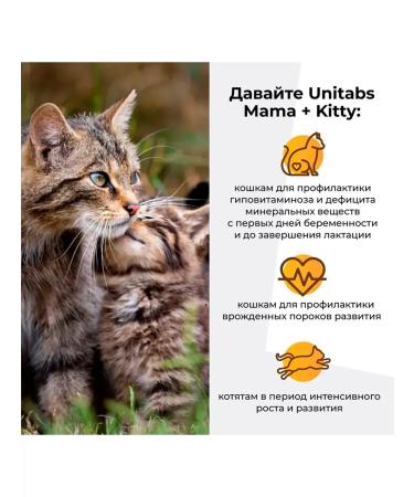 Unitabs vitamins for kittens pregnant and nursing cats - Buy Online on GoSupps.com