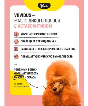 Wild salmon oil Vividus with Astaxantin 500 ml - Buy Online on GoSupps.com