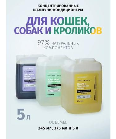 LISSILANDIA Shampoo concentrate for deep cleaning with air conditioning 5l - Buy Online on GoSupps.com