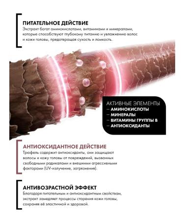 VIVIMIYU Hair shampoo nutrient Truffle Shampoo 500 ml - Buy Online on GoSupps.com