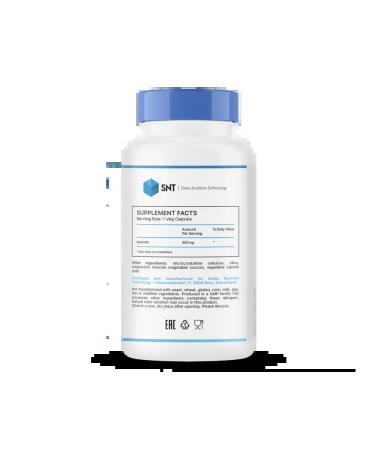 SNT Quercetin 500 mg 60 Veg. Capsul - Buy Online on GoSupps.com