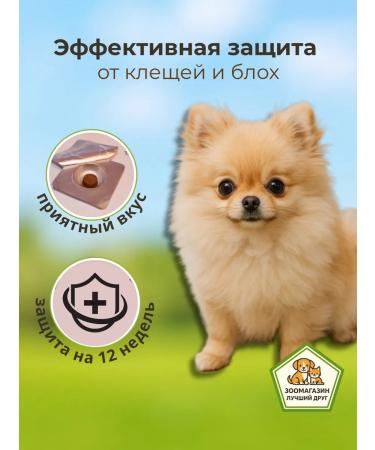 bravecto Pill 112.5 mg for dogs 2.5-4.5 kg from ticks - Buy Online on GoSupps.com