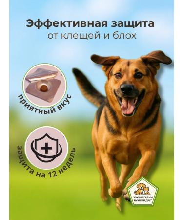 bravecto 1000 mg tablet for dogs 20-40 kg from ticks - Buy Online on GoSupps.com