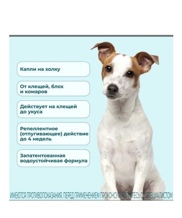 KRKA Attack Drops for dogs from 4 to 10 kg pipette 1 - Buy Online on GoSupps.com