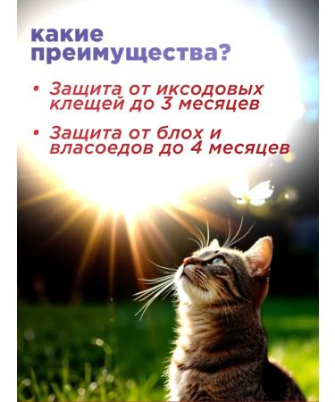 Neoterica Celandine plus a collar from fleas and ticks super 35 cm - Buy Online on GoSupps.com