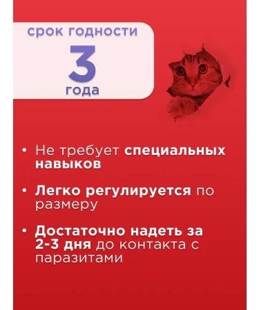 Neoterica Celandine plus a collar from fleas and ticks super 35 cm - Buy Online on GoSupps.com