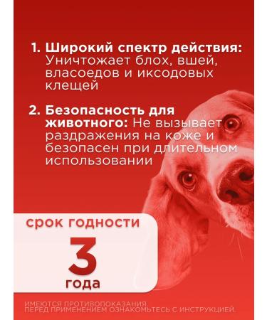 Neoterica Celandine plus a collar from fleas and ticks super 65 cm - Buy Online on GoSupps.com