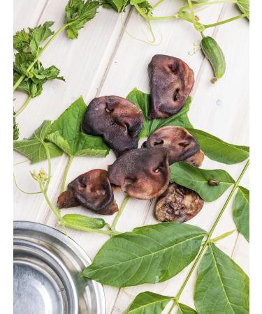 Exotic Pet Dog delicities - pork dried 500 grams - Buy Online on GoSupps.com