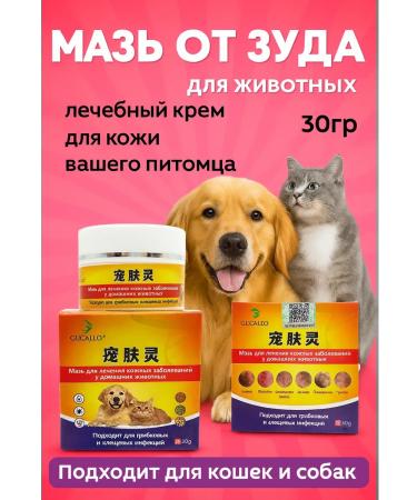 AYLINSHOP1 Itching ointment for dogs and cats is effective