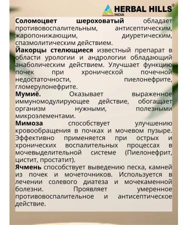 Stonhils for kidney health 60 tons - Buy Online on GoSupps.com