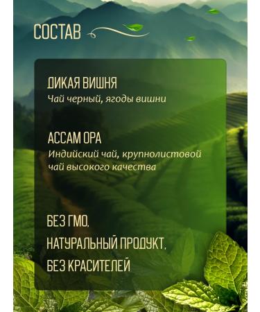 GALLA company Set of tea asaam ora and wild cherry - Buy Online on GoSupps.com