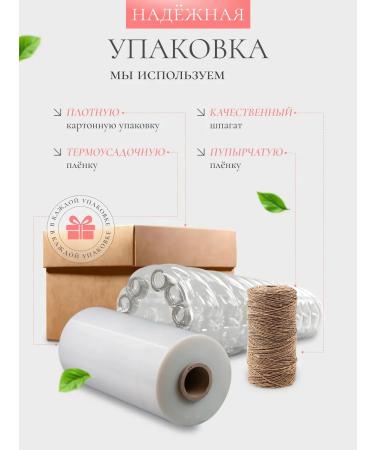 Ganich Enzyme powder piling with vitamin C - Buy Online on GoSupps.com