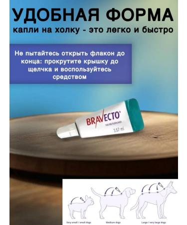 bravecto 1000mg 20-40 kg 1 pipette (02.2026) import - Buy Online on GoSupps.com
