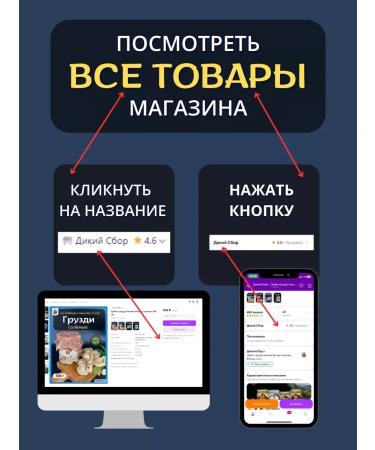 Wild Gathering Herbal collection Immun - Buy Online on GoSupps.com