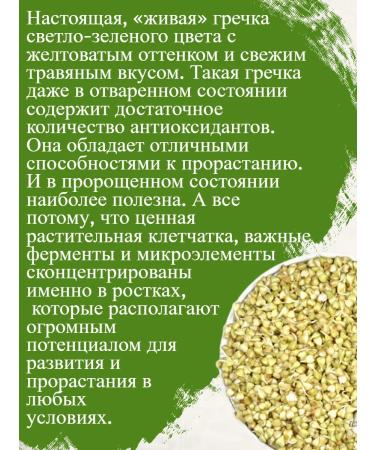 Altai lifestyle Green buckwheat for germination 0.5 kg - Buy Online on GoSupps.com