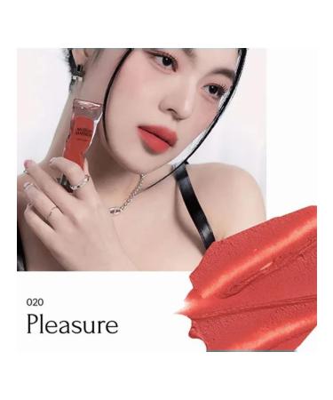Lipstick: 020 PLEASURE - Buy Online on GoSupps.com