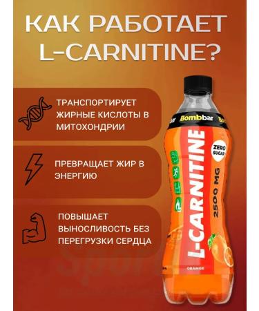 Energy PP drink L-Carnitine 1pc x 500ml - Buy Online on GoSupps.com