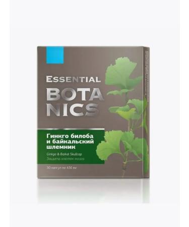 The Power of Siberian Health Ginkgo Biloba and the Baikal helmet - Essential Botanics