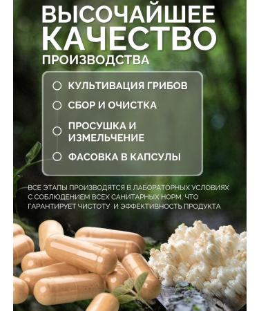 KORLAB Ezhovik Channel Mycelium 60 Capsules - Buy Online on GoSupps.com