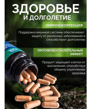 KORLAB Ezhovik Channel Mycelium 60 Capsules - Buy Online on GoSupps.com