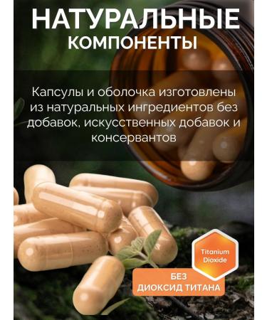 KORLAB Ezhovik Channel Mycelium 60 Capsules - Buy Online on GoSupps.com