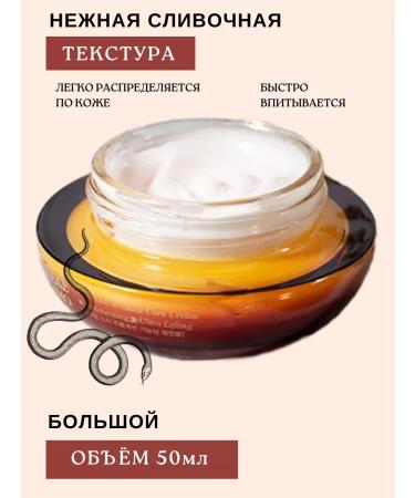 Bergamo Face cream anti -aging peptide korea - Buy Online on GoSupps.com