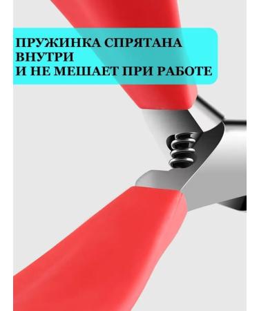 Sobre Nipchiki nippers are manicure pedicure - Buy Online on GoSupps.com