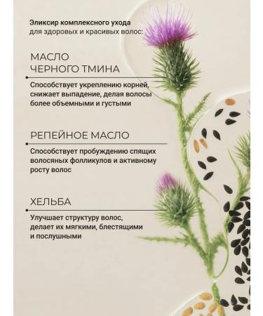 Zeitun Burdock hair growth from falling out - Buy Online on GoSupps.com