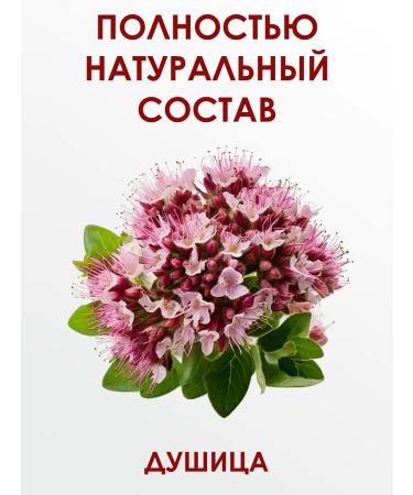 bee lab Herbal collection oregano 100 g - Buy Online on GoSupps.com
