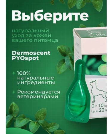 Dermoscent Pyospot Antibacterial Drops for Dogs  - Buy Online on GoSupps.com